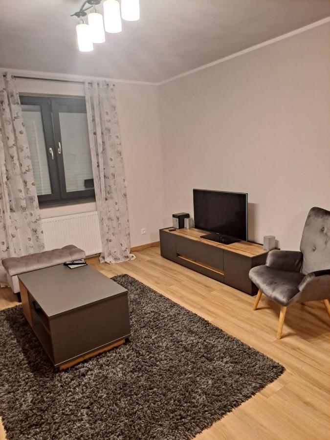 Apartament Sarna Jelenia Góra Extérieur photo